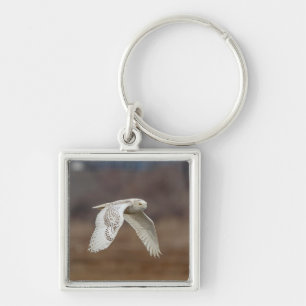 Snowy owl in flight keychain