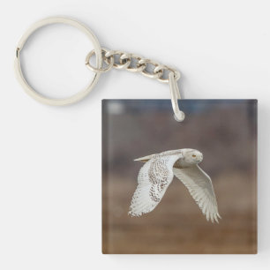 Snowy owl in flight keychain