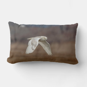 Snowy owl in flight lumbar pillow