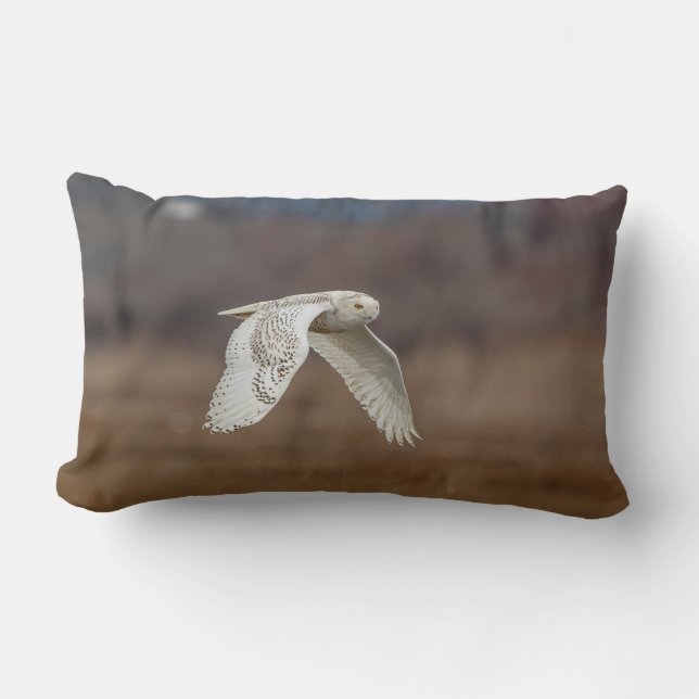 Snowy owl in flight lumbar pillow (Front)
