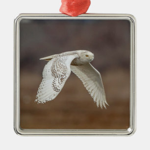 Snowy owl in flight metal ornament