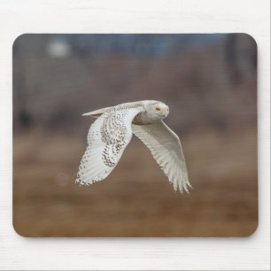 Snowy owl in flight mouse pad