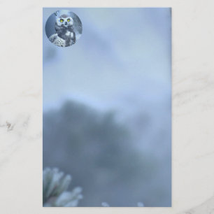 Snowy Owl in Winter Stationery