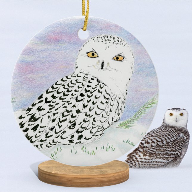 Snowy Owl In Winter Sunset Colour Pencil  Ceramic Ornament (Creator Uploaded)