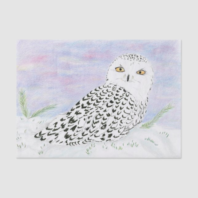 Snowy Owl In winter Sunset Colour Pencil Tissue Paper (Front)