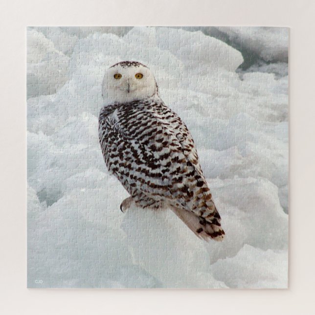 Snowy Owl jigsaw puzzle (Vertical)