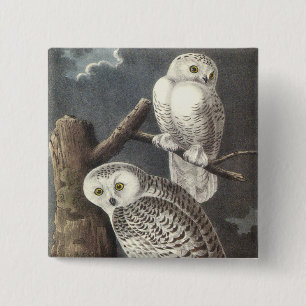 Snowy Owl, John Audubon 2 Inch Square Button