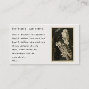 Snowy Owl, John James Audubon's Birds of America Business Card