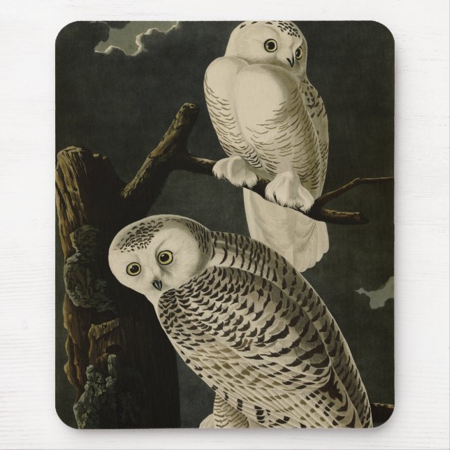Snowy Owl, John James Audubon's Birds of America P Mouse Pad (Front)