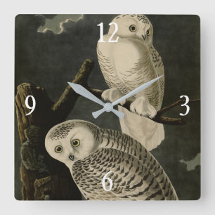 Snowy Owl, John James Audubon's Birds of America Square Wall Clock