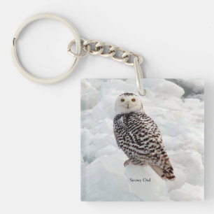 Snowy Owl key chain