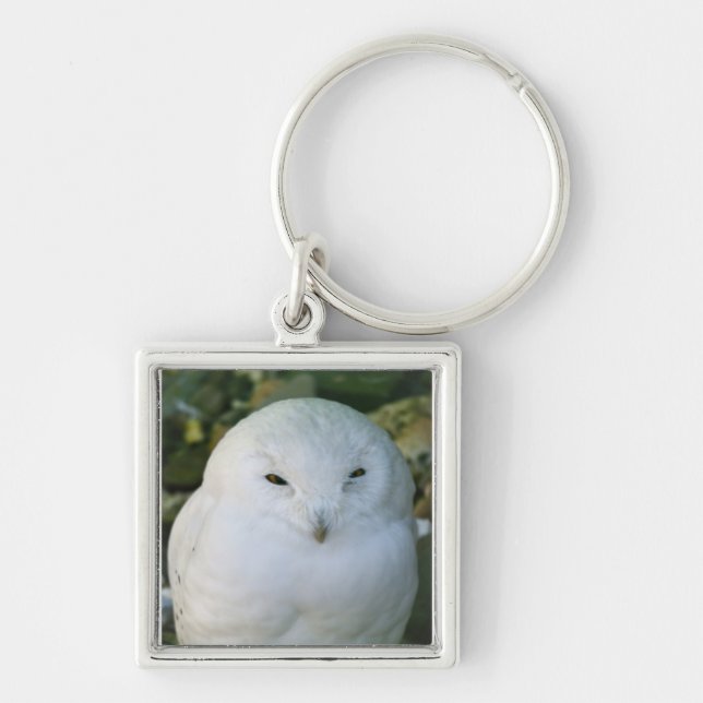 Snowy Owl Keychain (Front)