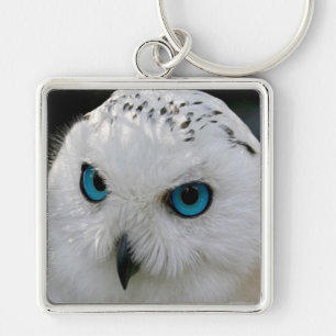 Snowy Owl Keychain