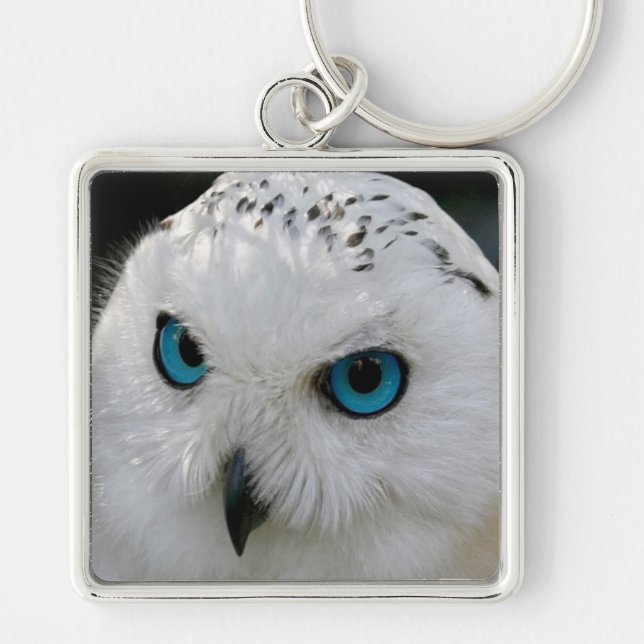 Snowy Owl Keychain (Front)