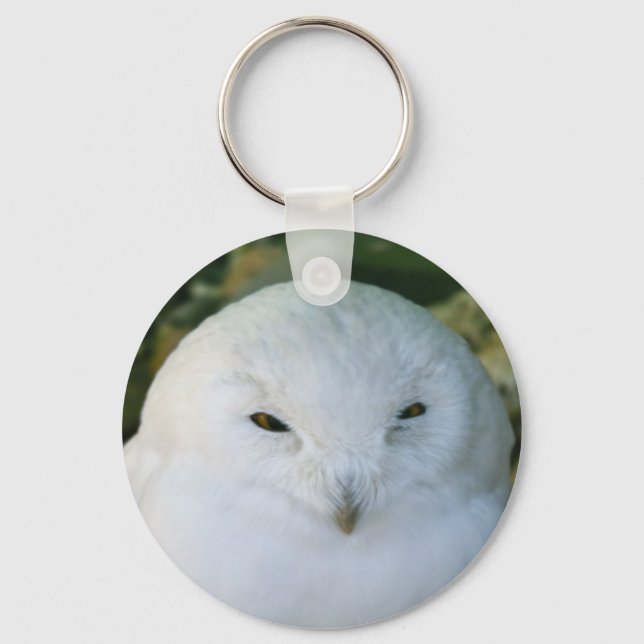 Snowy Owl Keychain (Front)