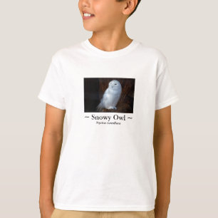 Snowy Owl - kid's shirt