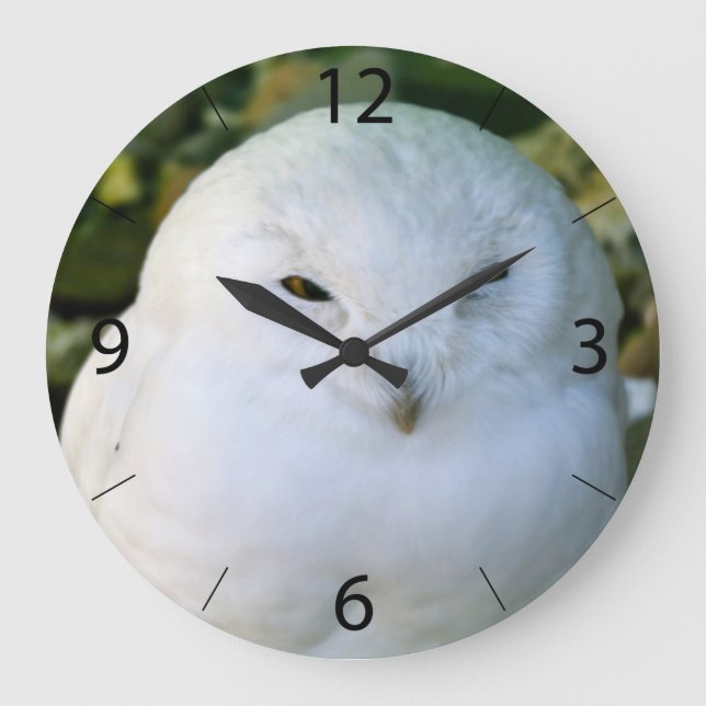 Snowy Owl Large Clock (Front)