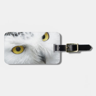 Snowy Owl Luggage Tag