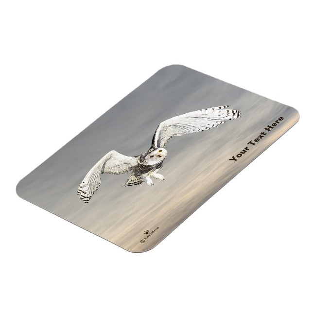 Snowy Owl Magnet (Left Side)
