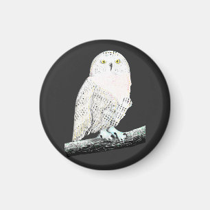 Snowy Owl Magnet