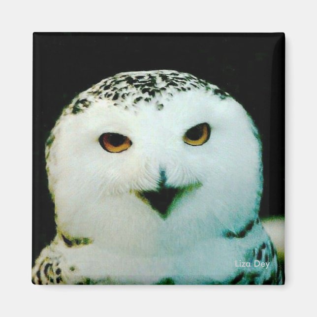 Snowy Owl Magnet (Front)