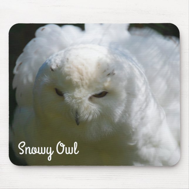 Snowy Owl Mouse Pad (Front)