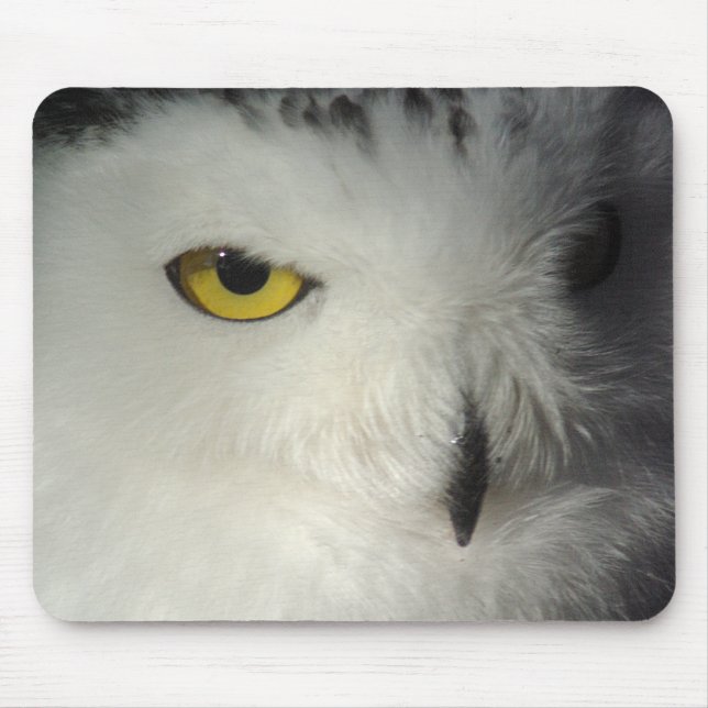 Snowy Owl Mousepad (Front)