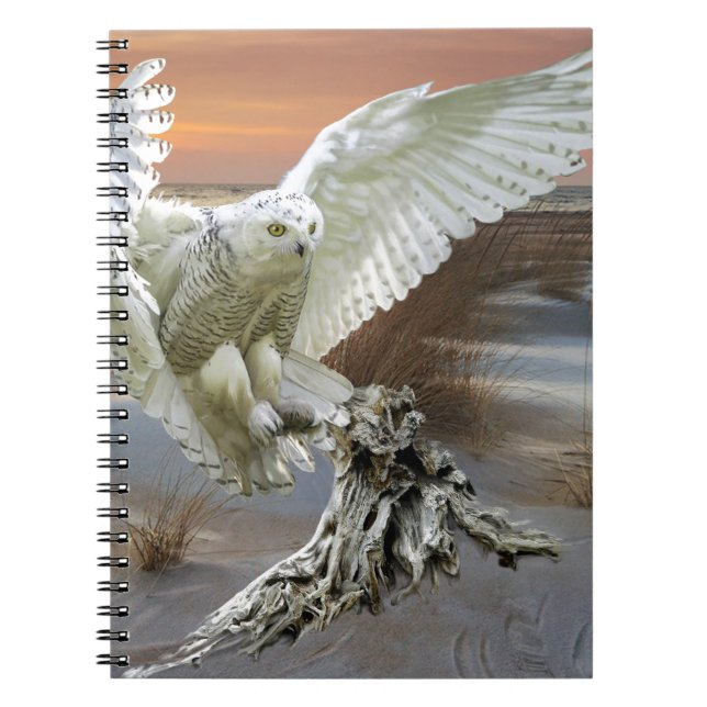 Snowy Owl Notebook (Front)