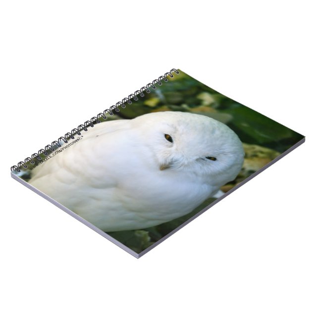 Snowy Owl Notebook (Left Side)