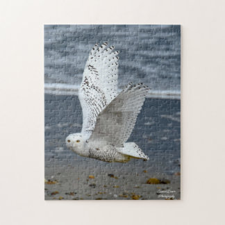 Snowy Owl on a beach Jigsaw Puzzle