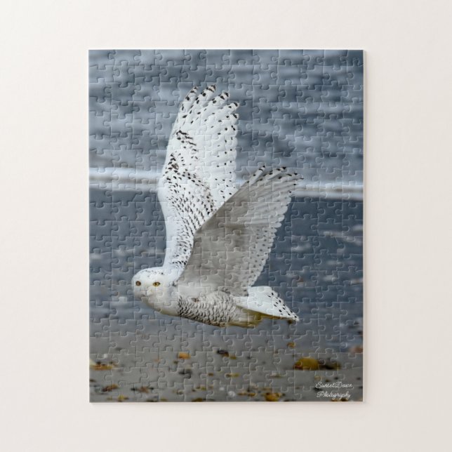 Snowy Owl on a beach  Jigsaw Puzzle (Vertical)