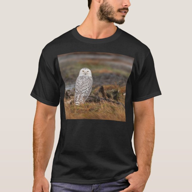Snowy Owl on a log T-Shirt (Front)
