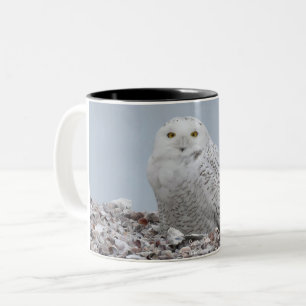 Snowy Owl on shells Coffee Mug