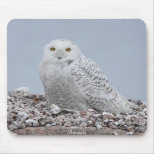 Snowy Owl on shells Mouse Pad