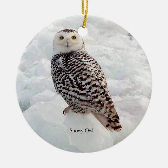 Snowy Owl ornament (Front)