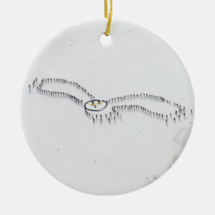 Snowy Owl ornament