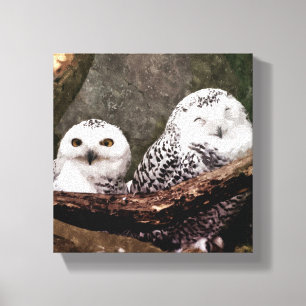 Snowy Owl Pair Woodland Wildlife Art Canvas Print