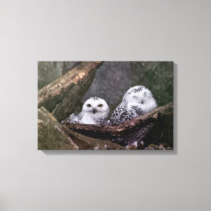 Snowy Owl Pair Woodland Wildlife Art Canvas Print