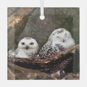 Snowy Owl Pair Woodland Wildlife Art Glass Ornament