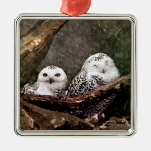 Snowy Owl Pair Woodland Wildlife Art Metal Ornament