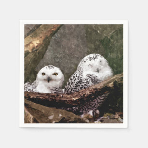 Snowy Owl Pair Woodland Wildlife Art Napkin
