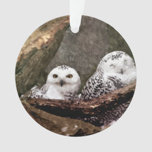 Snowy Owl Pair Woodland Wildlife Art Ornament