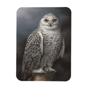 Snowy Owl Photo Magnet