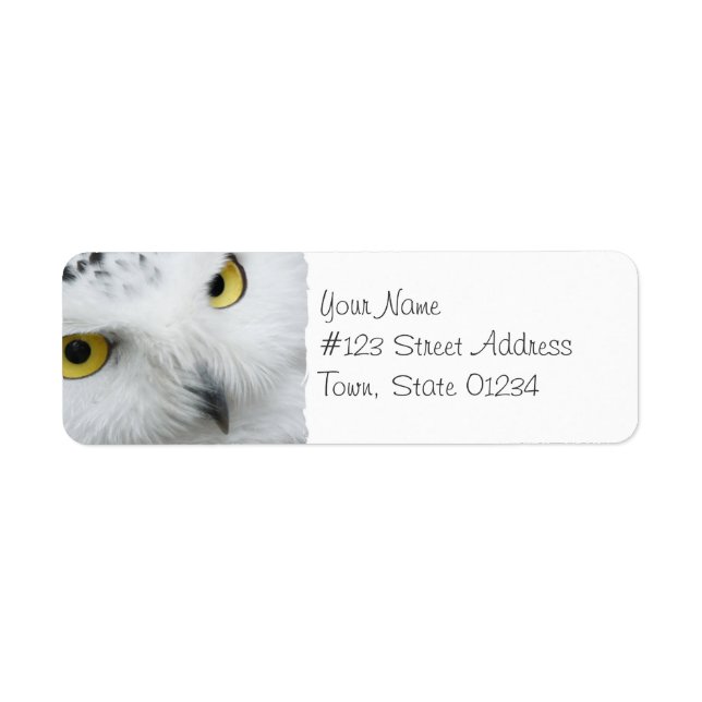 Snowy Owl Photo Mailing Labels (Front)