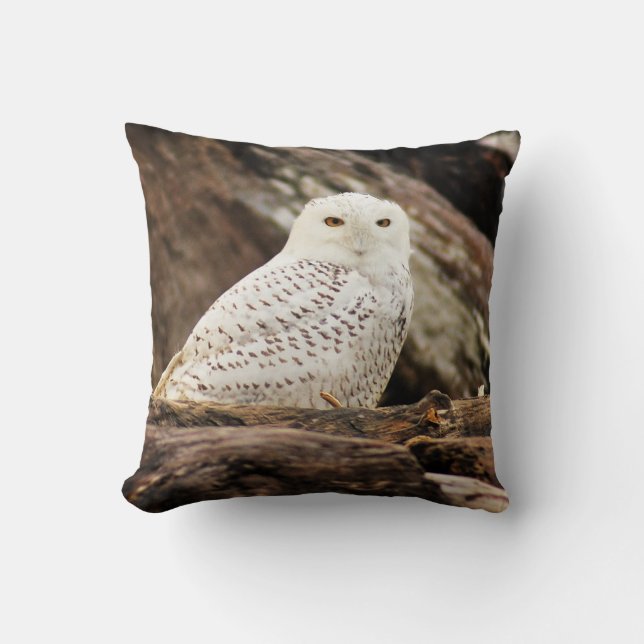 Snowy Owl Pillow (Front)