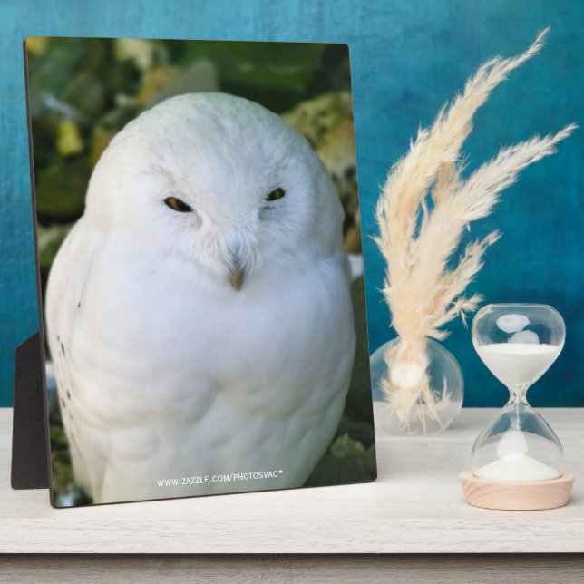 Snowy Owl Plaque (Side)