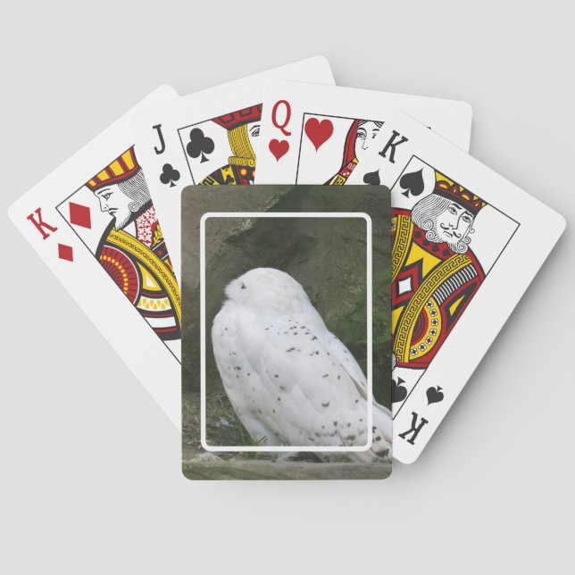 Snowy Owl Playing Cards (Back)