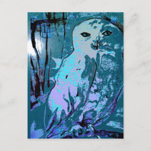 Snowy Owl postcard