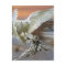 Snowy Owl