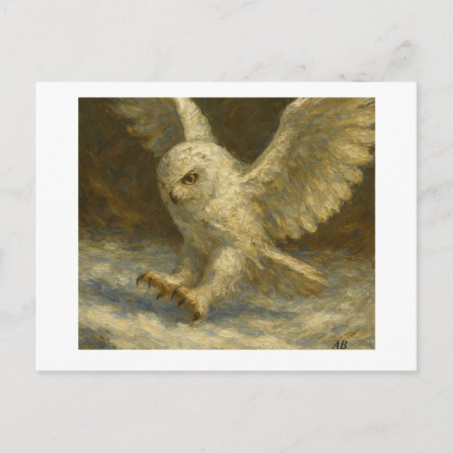 Snowy Owl,  Postcard (Front)